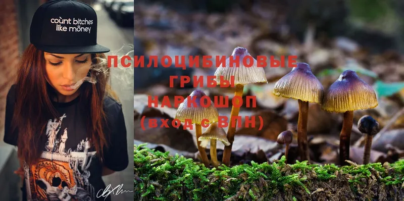 Галлюциногенные грибы Magic Shrooms  Лесосибирск 